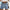 Damen Denim-Shorts mit hohem Bund und elastischem Taillenbereich WW