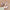 Damen bestickte Ballerina-Schuhe WW