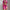Damen Sport-Bikini-Set mit langen Ärmeln und modischem Schnitt WW