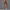 Damen Rad-Shorts mit hohem Bund und praktischen Seitentaschen WW