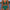 Damen Bikini-Set mit figurformendem und knotenfreiem Oberteil WW