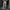 Damen Bequeme und stylische High-Waist Freizeithose WW