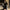 Damen Strickkleid mit figurbetonter Silhouette und stylischem Rollkragen WW