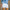 Damen entspannte Denim-Shorts mit modischen Abrieb-Details WW