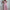 WW | Eleganter Plissierter Jumpsuit Aus Einem Stück