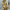 Damen Jumpsuit mit elegantem Stehkragen und kunstvollem Druck WW