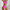 Damen Sportliches Bikini-Set mit Hochbund und Kontrastdetails WW
