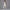 Damen Sportliches Bustier- und High-Waist-Leggings-Set mit nahtloser Konstruktion und atmungsaktiver Technologie WW