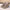 Damen Bequeme und wetterfeste Slip-On Boots mit weichem Innenfutter WW