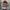 Damen Strickpullover mit strukturiertem Muster und eleganten Farbblockdetails WW
