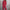 WW | Einfarbiges Slim-Fit Hosenanzug mit Rundhalsausschnitt