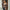 Damen Strickjacke mit V-Ausschnitt und Knopf-Detail WW