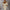WW | Off-Shoulder Tailliertes Kleid mit Gürtel