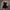 WW | Ärmelloses Slim Fit Blumenknospen Kurzrockkleid