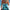 Damen Badeanzug mit schickem Wickeldesign WW