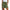 Damen Sommerliche Shorts mit verstellbarem Bund und praktischen Taschen WW