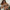Damen Bikini-Set mit strukturiertem Oberteil und verstellbaren Trägern WW