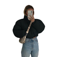 Damen Steppjacke mit hohem Kragen und kürzerem Schnitt WW