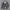 WW | Warme Winterjacke für Herren