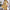Damen Sommerliches Minikleid mit elegantem Halsausschnitt und floralen Details WW