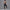 Damen Sportliches Bustier- und High-Waist-Leggings-Set mit nahtloser Konstruktion und atmungsaktiver Technologie WW