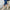 Damen Sneakers mit modischem Satin-Obermaterial und eleganten Goldakzenten W&W
