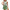 Damen Blumiger Halbhals-Top mit weichem Shorts W&W