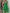 Damen A-Linien Kleid mit Spitzenmuster WW