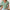 Damen V-Ausschnitt Bluse mit floralem Muster und Rüschendetails WW