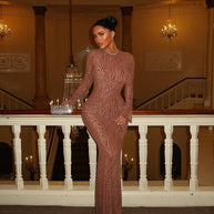 WW | Durchsichtiges Leopardenmuster Bodycon Rückenfreies Langkleid