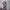 Damen Denim-Hemdjacke im lässigen Oversized-Schnitt mit fransigen Details WW