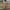 WW | Baby Pink Cocktailkleid mit Rüschen und Herz-Ausschnitt