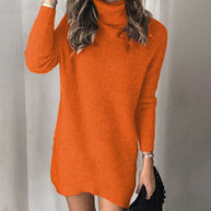 Damen Strickkleid mit hohem Kragen WW