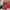 Damen Bandeau Jumpsuit mit floralem Print und elastischem Bund WW