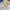 Damen Ballerinas mit eleganter Knoten-Details und rutschfester Sohle W&W