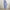 Damen Maxi-Kleid mit elegantem V-Ausschnitt und weit schwingendem Schnitt WW
