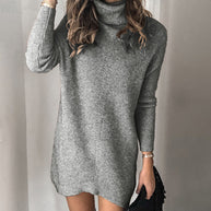 Damen Strickkleid mit hohem Kragen WW