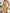 Damen Sommerliches Minikleid mit elegantem Halsausschnitt und floralen Details WW