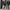 Damen angenehm weicher Strickpullover mit elegantem V-Ausschnitt und maritimen Knopfdetails WW