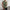 Damen asymmetrisches Top mit Drapierung und elegantem Schnitt WW