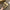 Damen Ballerinas mit elegantem Riemchen und flexiblem Innenfutter W&W