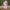 WW | Pailletten Mini Kleid Ärmellos Halterneck Offener Rücken Elegante Partykleidung
