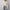 Damen Strickjacke mit Rundhalsausschnitt und Knopfleiste WW