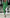 Damen elegantes Business-Anzug-Set mit doppelter Knopfleiste und schmaler Passform WW
