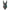 Damen Badeanzug mit floralem Wickelrock und femininem Design WW