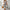Damen asymmetrisches Kleid mit botanischem Druck W&W