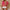 Damen Bequemes T-Shirt mit etnischem Muster WW