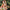 Damen Badeanzug mit modischem Cut-Out-Design und floralem Muster WW