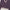 Damen Strickjacke mit V-Ausschnitt und kontrastierenden Details WW