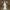 Damen Elegantes trägerloses Maxikleid mit fließendem Schnitt und kurvenbetontem Design W&W